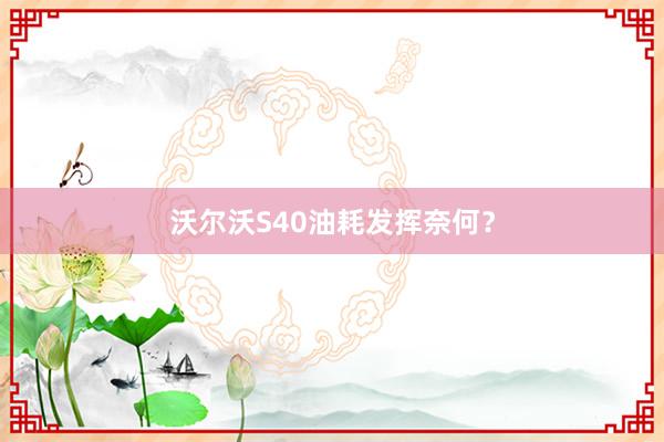 沃尔沃S40油耗发挥奈何？