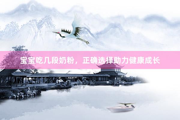 宝宝吃几段奶粉，正确选择助力健康成长