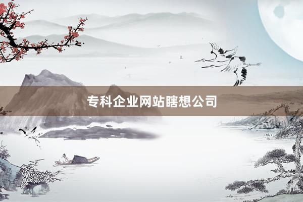 专科企业网站瞎想公司