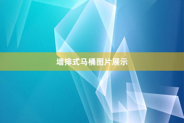 墙排式马桶图片展示